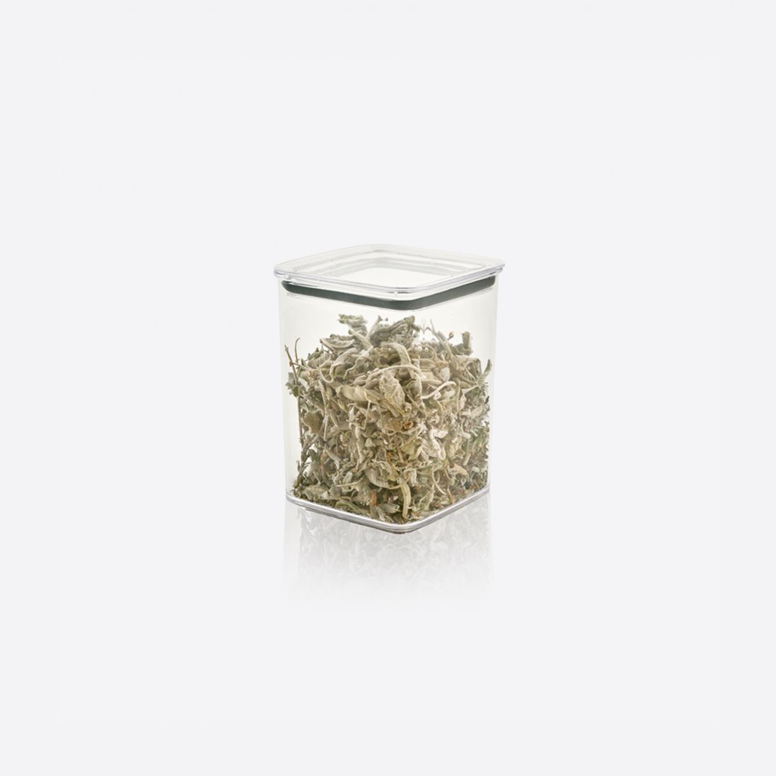 1200 ml Stock Saklama Kabı