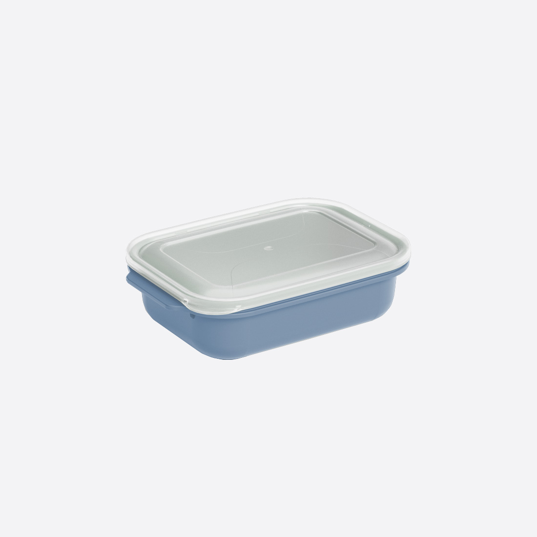 1300 ml Easy Keep Storage Container